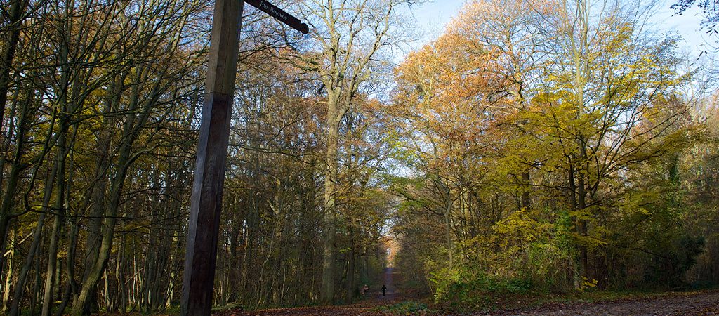 foret écouen