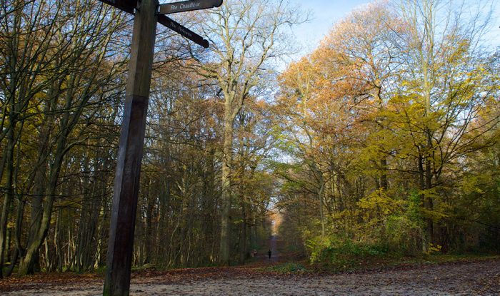 foret écouen