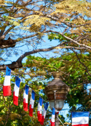 french flag bunting for bastille day