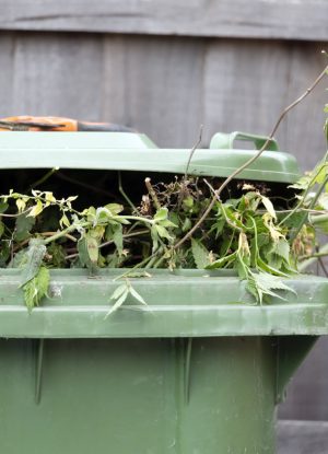a green garden waste recycling bin