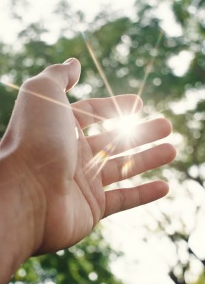 hand touching sunlight.