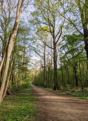 foret ecouen