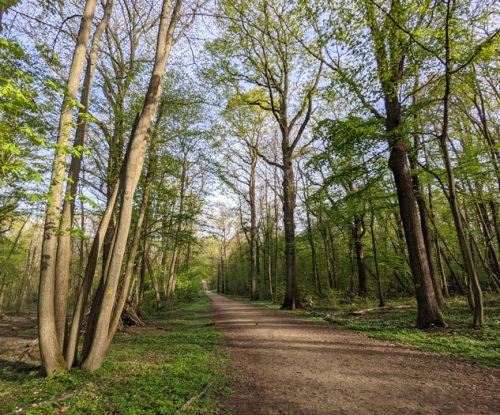 foret ecouen