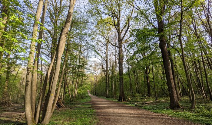 foret ecouen