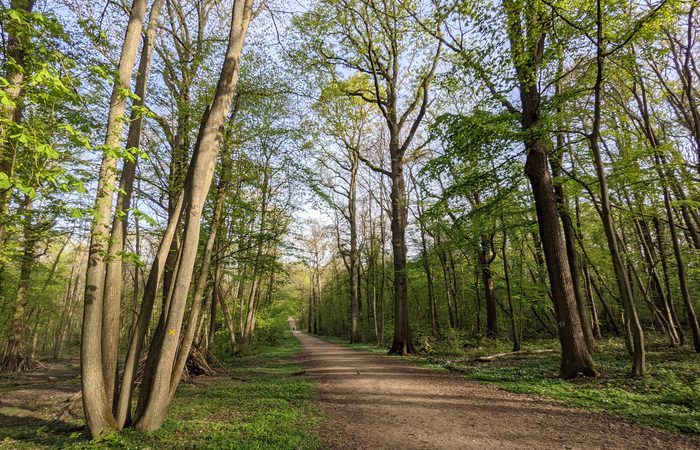 foret ecouen
